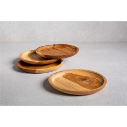 Circle Plate（圆盘）